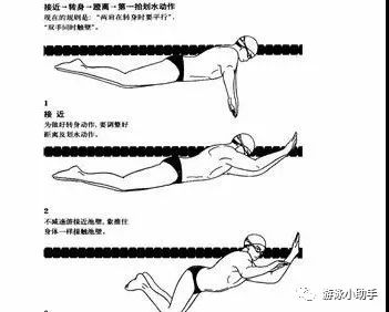 游泳蛙泳的转身、换气和整体配合技巧！